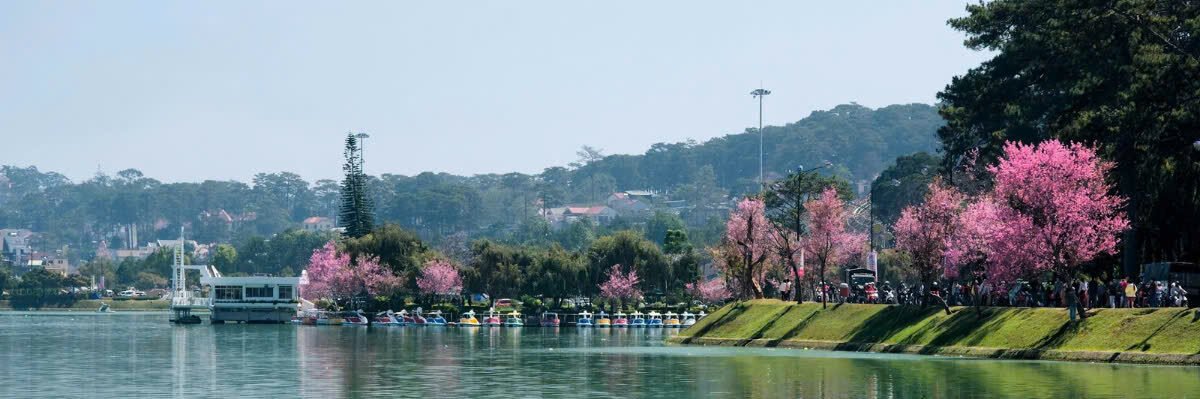 DaLat.info